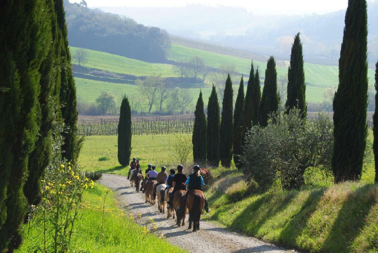 Superior Apartment Soarzio Fulignano San Gimignano Dış mekan fotoğraf